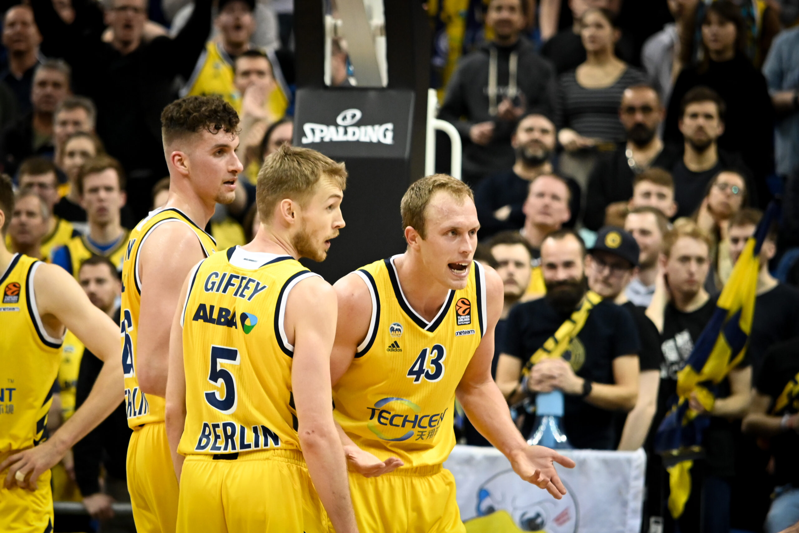 Alba Berlin vs Anadolu Efes 2020