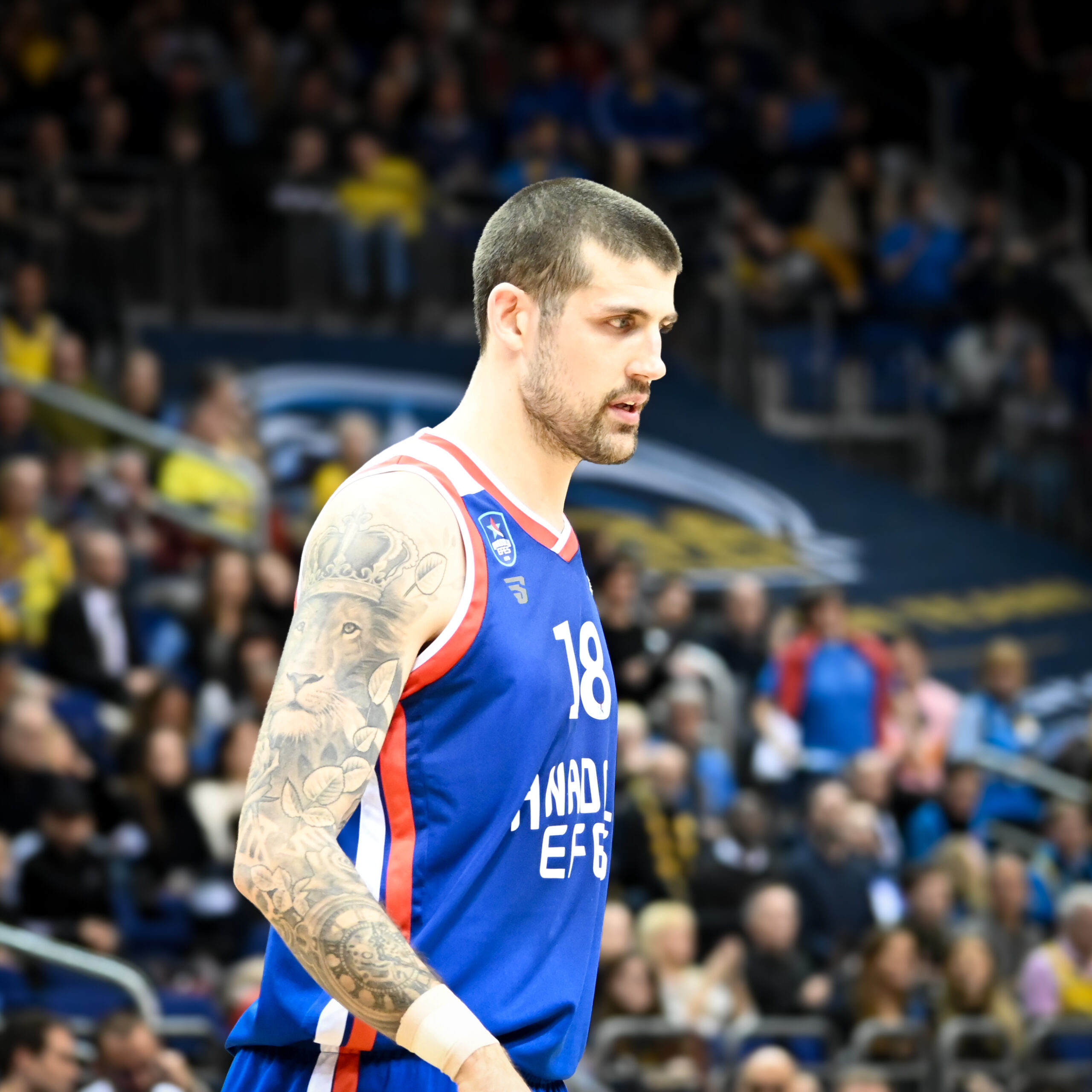 Alba Berlin vs Anadolu Efes 2020