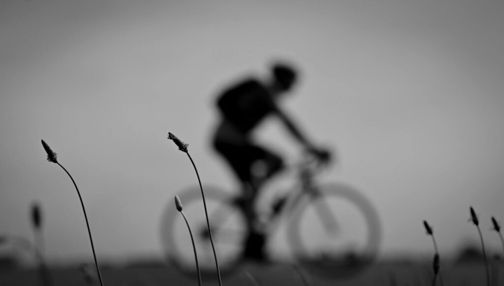 Silhoutte einer radfahrenden Person im Bokeh, schwarz-weiß, Vordergrund aus dem Boden ragende Pflanzen