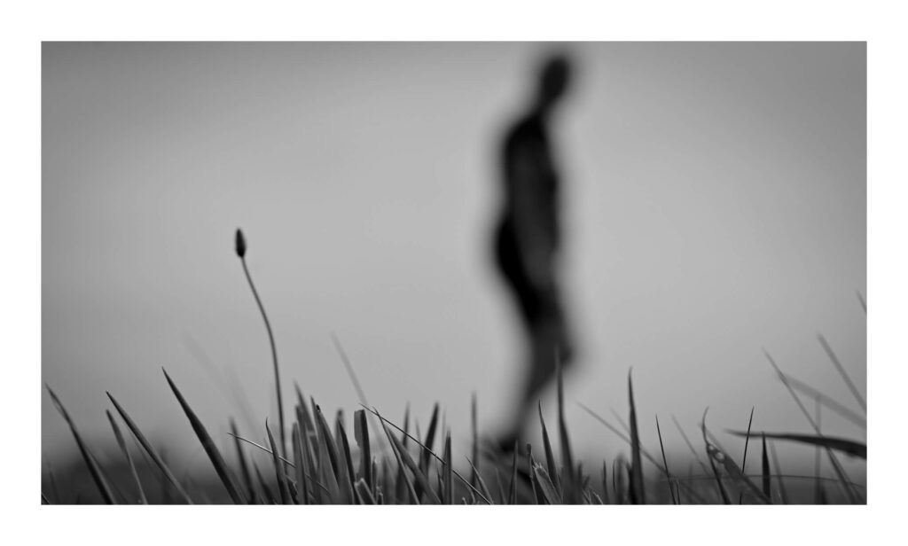 Pedestrian | July 25th 24 | THF Leyla Dirim Photography