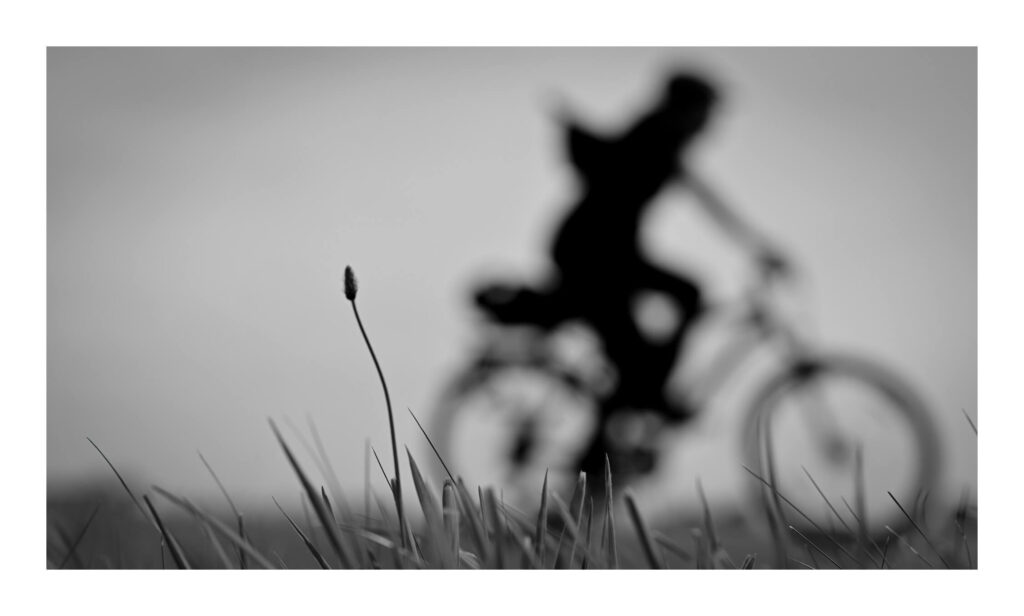Biker 3 | July 25th, 24 | THF Leyla Dirim Photography